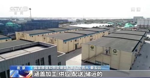 我國糧食市場供應(yīng)充足且抗外部波動(dòng)，農(nóng)業(yè)企業(yè)托管服務(wù)助力產(chǎn)業(yè)穩(wěn)定發(fā)展