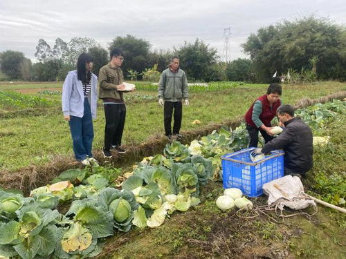 下沉監(jiān)督護(hù)春耕，夯實(shí)設(shè)施促豐收——以高質(zhì)量農(nóng)業(yè)基礎(chǔ)設(shè)施建設(shè)護(hù)航春耕生產(chǎn)