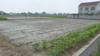 蘆荻山鄉(xiāng) 完善田間基礎(chǔ)設(shè)施 創(chuàng)新托管服務(wù)模式 全力提升農(nóng)業(yè)綜合生產(chǎn)能力