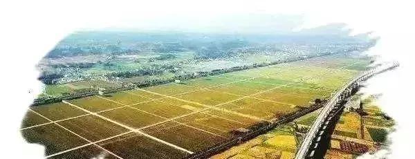 2019年四大農(nóng)業(yè)產(chǎn)業(yè)項(xiàng)目補(bǔ)貼新政 先建后補(bǔ)，最高補(bǔ)貼達(dá)1億元