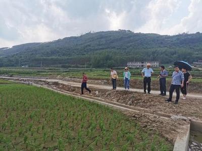 來賓市農(nóng)業(yè)農(nóng)村局聯(lián)合財(cái)政局開展2021年高標(biāo)準(zhǔn)農(nóng)田建設(shè)及耕地地力保護(hù)督導(dǎo)工作，助力農(nóng)業(yè)企業(yè)托管服務(wù)發(fā)展
