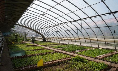 榆中縣堅(jiān)持“四生融合”理念，夯實(shí)農(nóng)業(yè)基礎(chǔ)設(shè)施建設(shè)和美鄉(xiāng)村